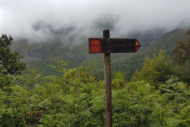 Private Guided Walk Levada 25 Fontes - What to Expect During the Hike