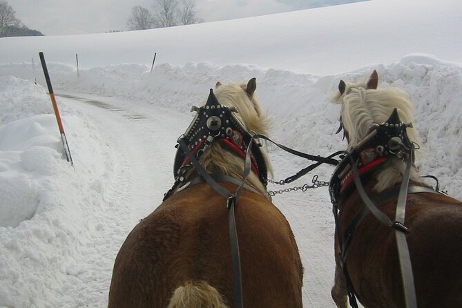 Private Horse-Drawn Sleigh Ride From Salzburg - Weather Considerations