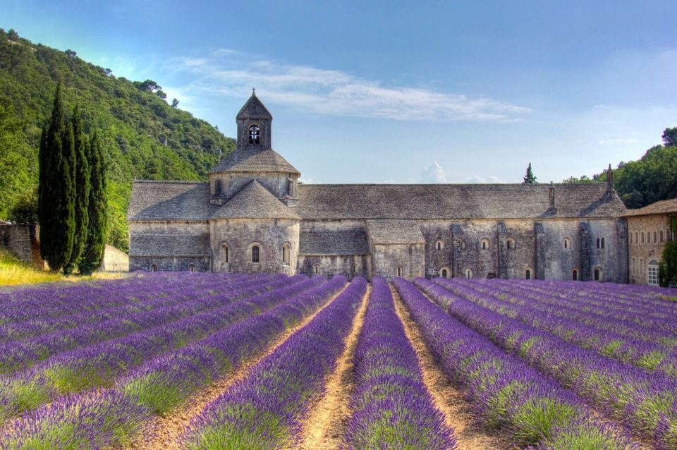 Private Lavender of Provence Tour - Highlights of the Experience