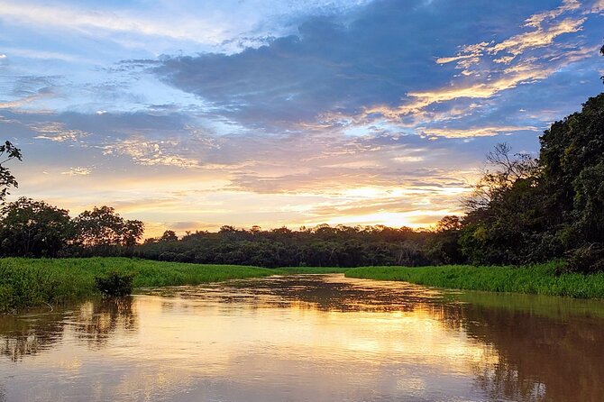 Private River Tour by Speedboat in the Amazon, Lily Pads & Nature - Key Highlights