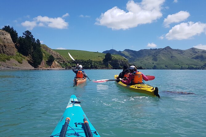 Private Sea Kayaking Tour From Christchurch/Lyttleton - Meeting Points and Pickup