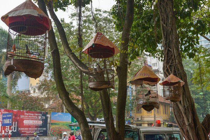 Private Sightseeing in Hanoi With Street Food Tasting - Dietary Options Available