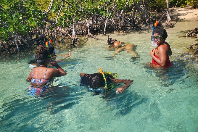 Private Snorkeling and Biobay Boat Tour From San Juan - Meeting Details