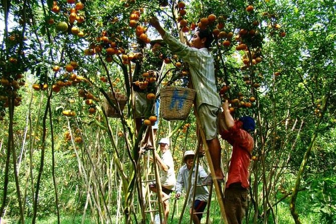 Private Tour to Mekong Delta 1 Day - Experience Highlights