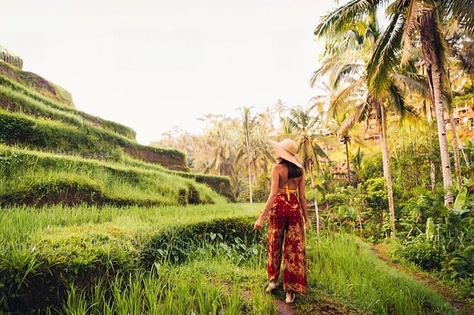 Private Tour Ubud: Swing at Rice Field With Temple and Waterfall - Inclusions and Amenities