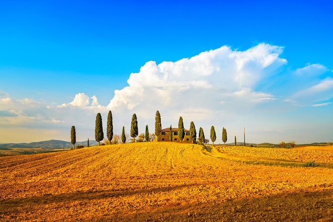 Private Tuscany Wine Country Day Trip From Rome With Lunch - Itinerary Highlights