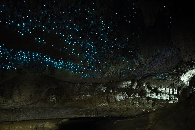 Private Waitomo Caves Tour - Auckland Tour House - Pricing and Group Size