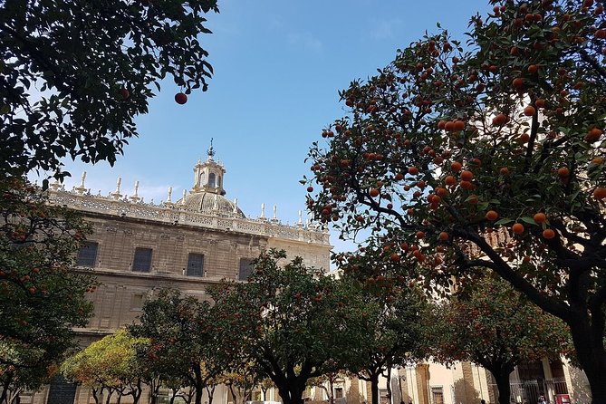 Private Walking Tour in Seville City Center - Highlights of Seville