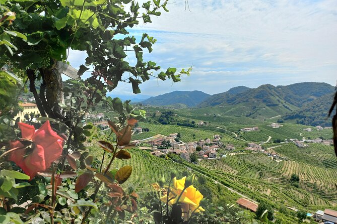 Prosecco Hills Tour With Wine Tasting & Lunch From Venice Treviso - Inclusions and Highlights