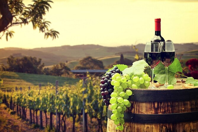 Provence Organic Wine Tasting Half Day Tour From Nice - Itinerary Highlights