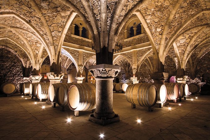 Provence Wine Tour - Private Day Tour From Cannes - Inclusions and Transportation