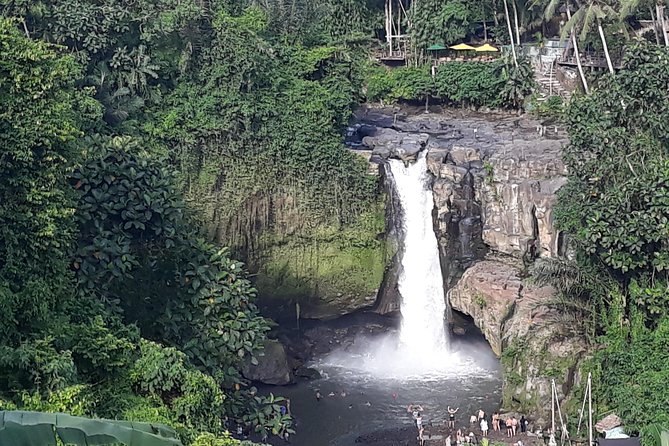 Purification Temple Ubud Village Scenic Private Guided Tour - Itinerary Overview