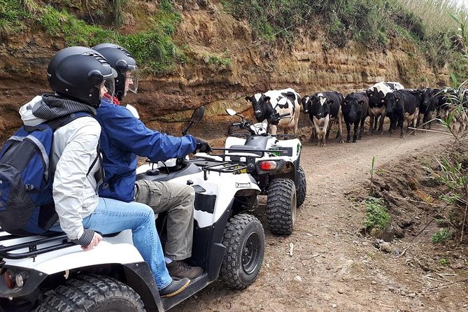 Quad Bike Tour - Sete Cidades From North Coast (Full Day) With Lunch - Whats Included