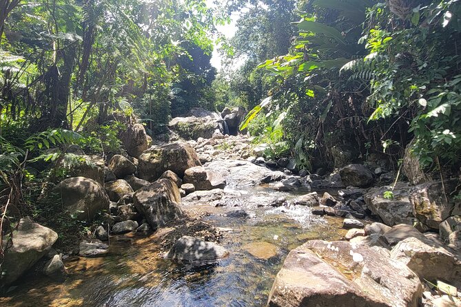 Rain Forest Waterfall Discovery With Natural Mud Bath - Schedule and Availability