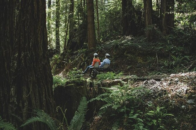 Redwoods Railbike Along Pudding Creek - Itinerary Highlights