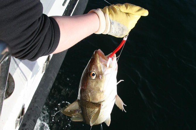 Reykjavik Sea Angling Gourmet - Meeting Point and Logistics