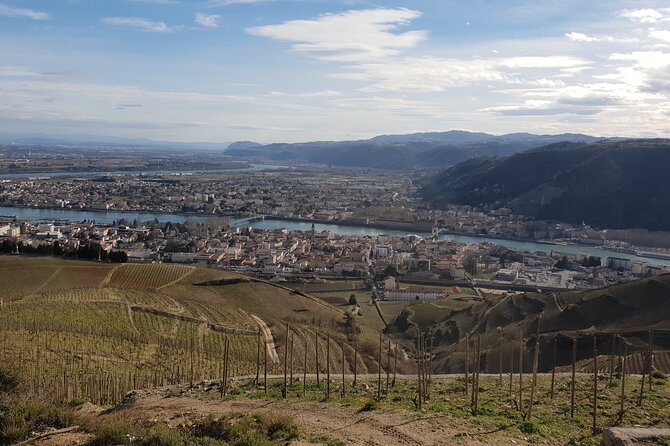 Rhône Valley Wine Tasting Private Day Tour From Lyon - Itinerary and Schedule