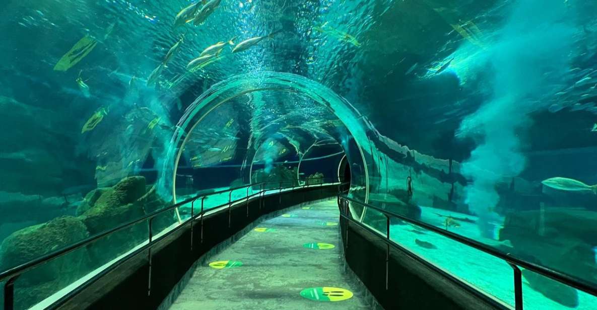 Rio De Janeiro: Marine Aquarium Entry Tickets - Ticket Purchase Options