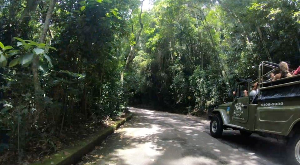 Rio: Jeep Tour to Botanical Garden and Tijuca Forest - Highlights of the Experience