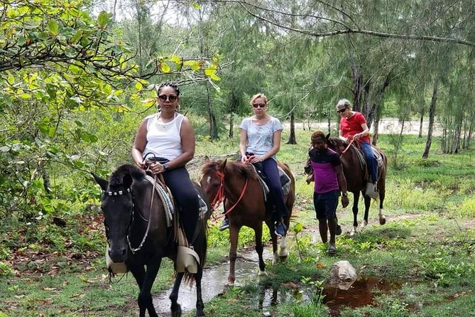Roatan Nature Combo: Mangrove Cruise, Horseback Riding & Snorkel - Pickup and Meeting Details
