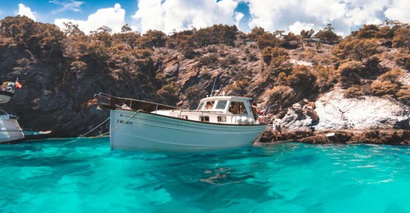 Roses: Private Cruise in the Natural Park of Cap De Creus - Experience Highlights