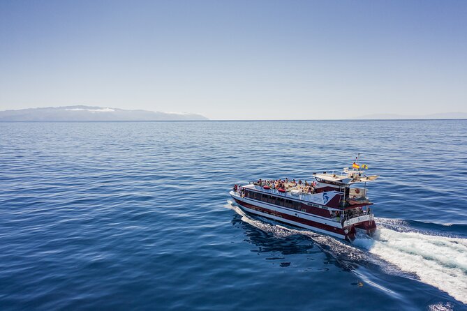 Royal Delfin - 45H Dolphin & Whale Watching - Los Gigantes Masca - Lunch & Swim - Key Features of the Tour