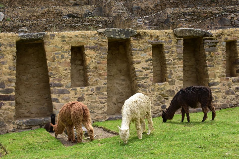 Sacred Valley Peru Tours Full Day - Itinerary Highlights