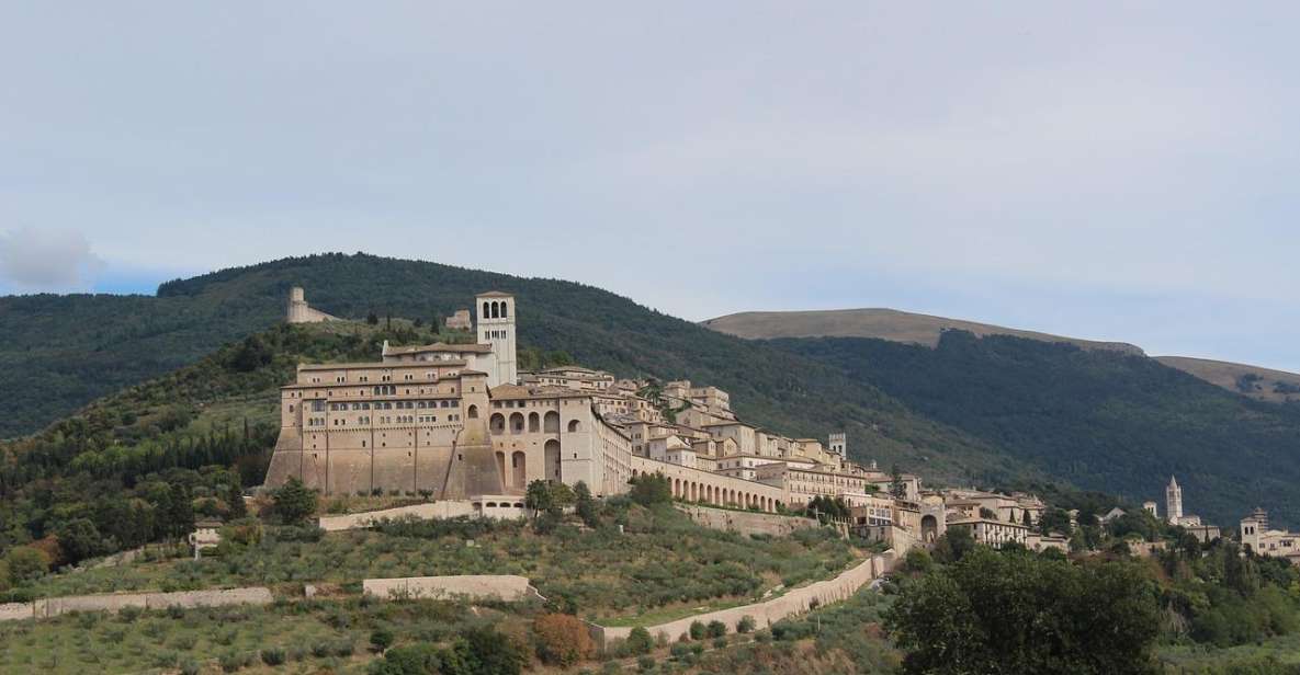 Saint Francis Wood With Tuk Tuk: Assisi - Tour Highlights and Landmarks