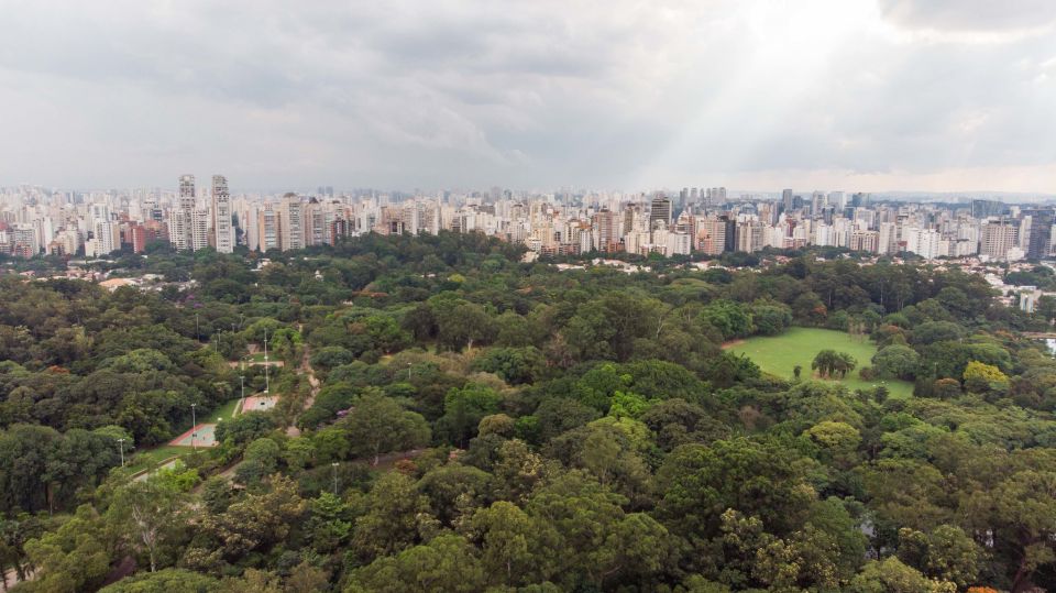 Sao Paulo City Tour - Key Features and Benefits