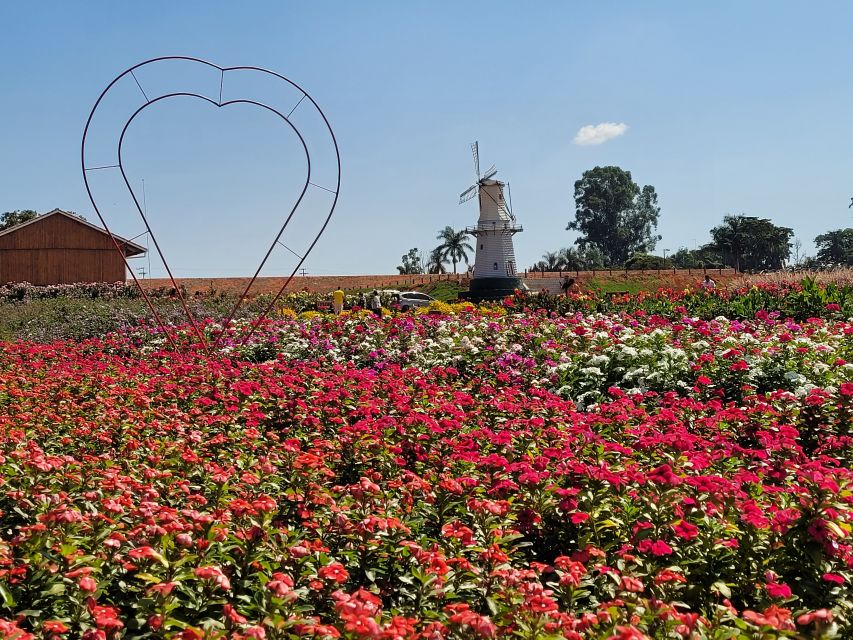 São Paulo: Holambra Colorful Flower Farm Guided Day Trip - Discover Holambra