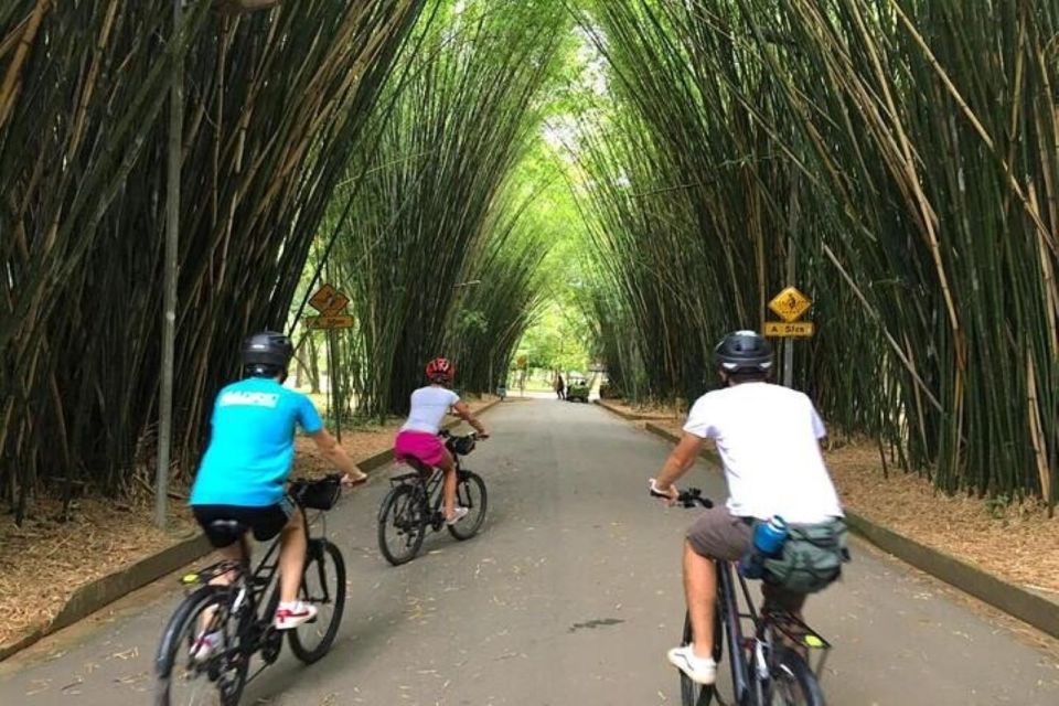 Sao Paulo: The Coolest Urban Scenes Bike Tour - Highlights of the Experience