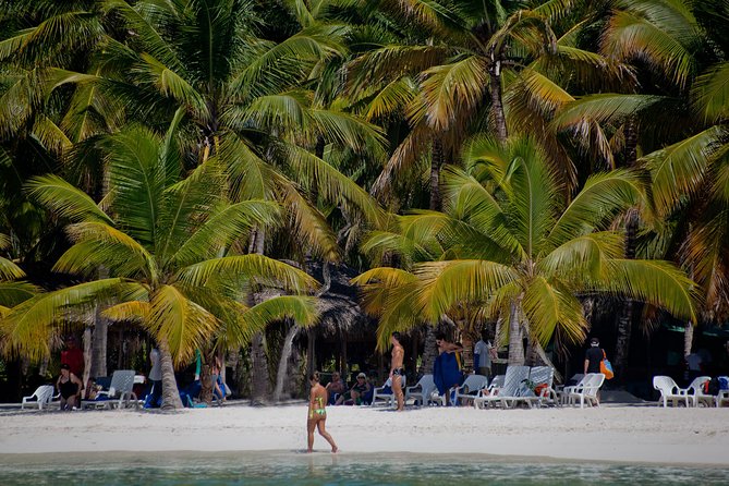 Saona Island-Ultimate Experience Under the Sun From Punta Cana - Catamaran Tour Experience