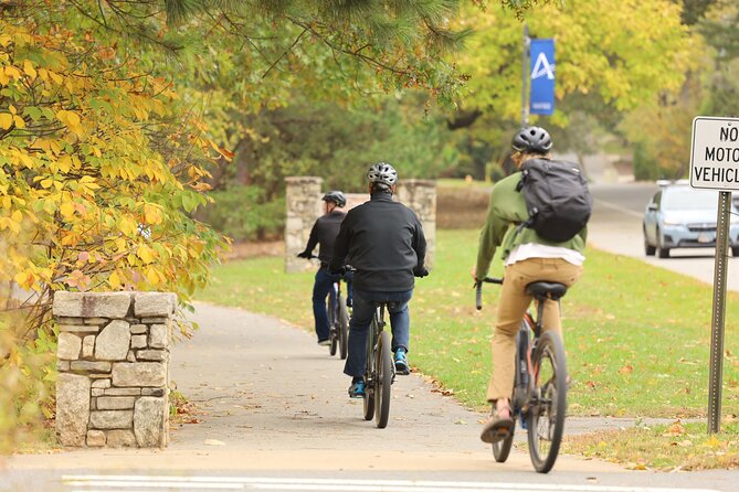 Scenic E-Bike Tour in the Mountains - Scenic Route Highlights