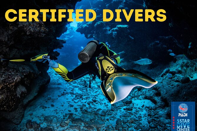 Scuba Diving for Certified Divers in Costa Adeje - Equipment Provided for Divers