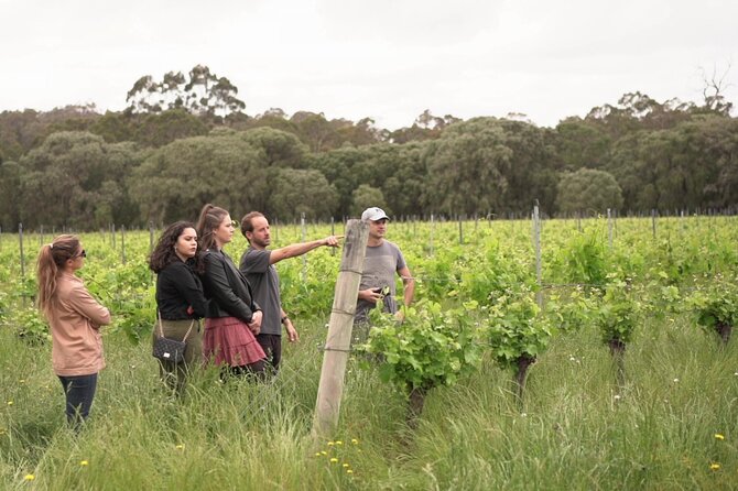 Secret Delights: Half-Day Wine, Coffee, Artisan and Forest Tour - Inclusions and Logistics