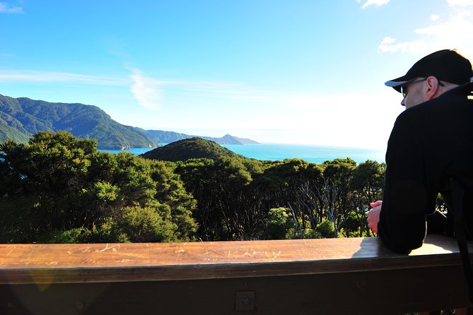 Self-Guided Queen Charlotte Track Walk From Picton - Choosing Your Walk Option