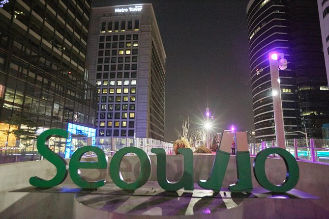 Seoul Night Tour: Sevit Some, Fountain, and Palace - Reviews and Feedback