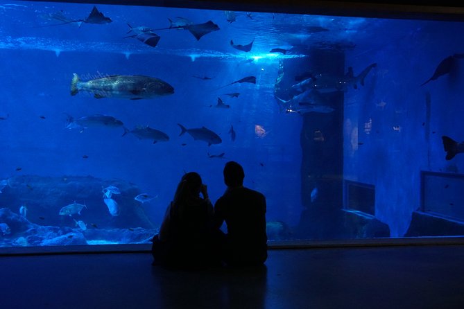 Seville Aquarium Admission Ticket - Booking and Cancellation Details