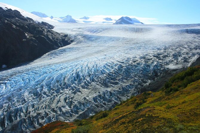 Seward and Kenai Fjords National Park Guided Tour With Lunch - Itinerary and Schedule