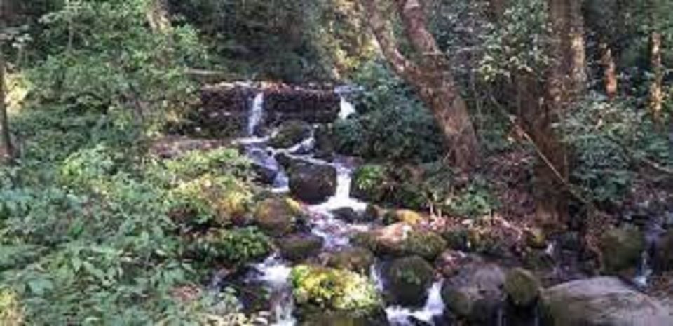 Shivapuri National Park Day Hiking From Kathmandu - Best Time for Hiking
