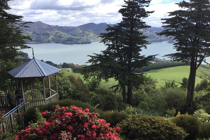 Shore Excursion: Dunedin City, Otago Peninsula, Castle Gardens & Olveston Tour - Meeting and Pickup Details