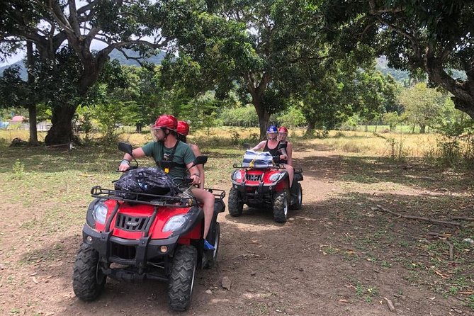 Shore Excursion: V.I.P. DayPass: ATV, Zip Lines, Horseback Riding & Lunch - Inclusions and Amenities