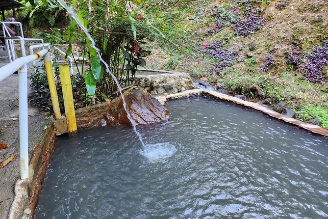 Shoreside Fun-Day With Titou Gorge, Hot Springs & Champagne Reef - Health and Safety Guidelines