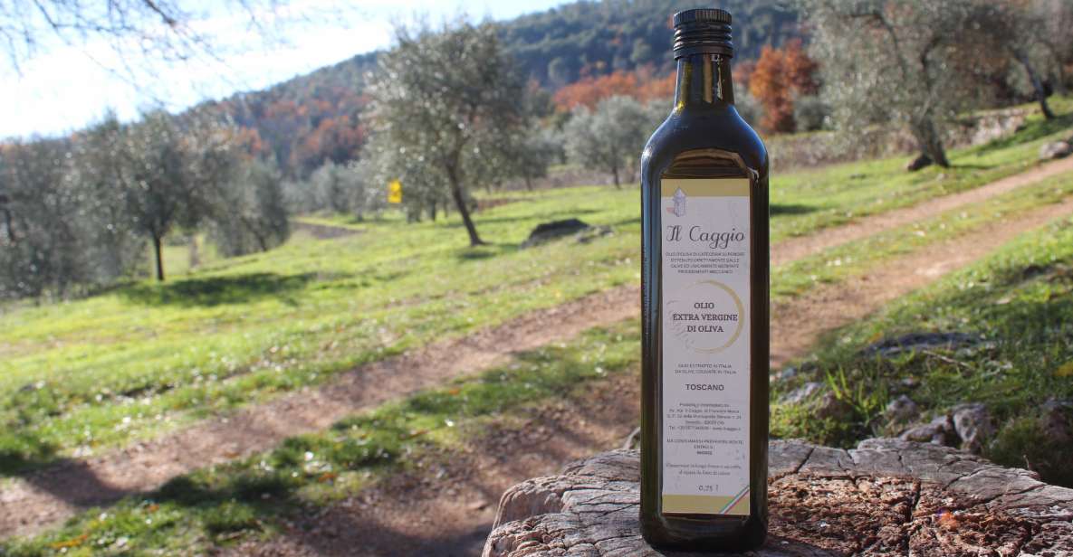 Siena: EVO Oil Experience With Walk, Tasting and Lunch - Olive Grove Tour