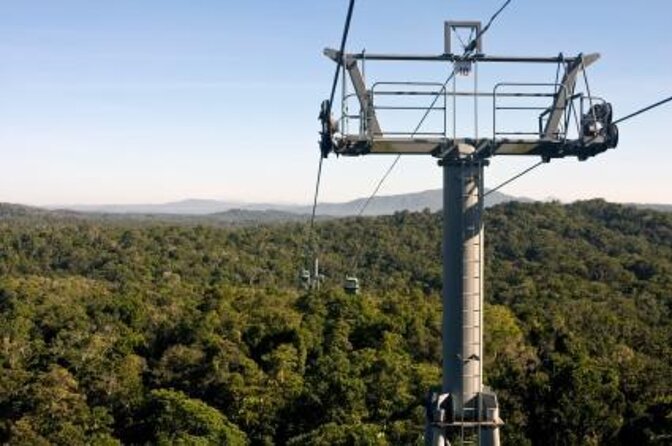 Skip the Line Kuranda Scenic Railway Gold Class and Skyrail Rainforest Cableway - Gold Class Experience