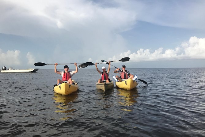 Small Group Boat, Kayak and Walking Guided Eco Tour in Everglades National Park - Meeting and Logistics