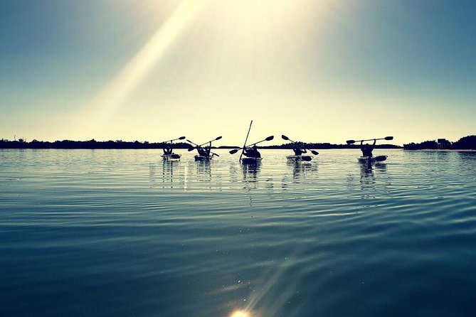 Small-Group Clear Kayak Tour in Shell Key - Health and Safety Requirements