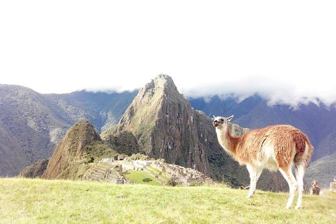 Small-Group Day Tour to Machu Picchu - Transportation Options