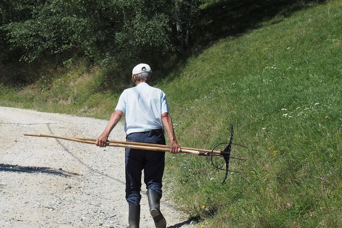 Small-Group Day Trip in Romanian Authentic Mountain Villages From Brasov - Scenic Drive to Bran Castle