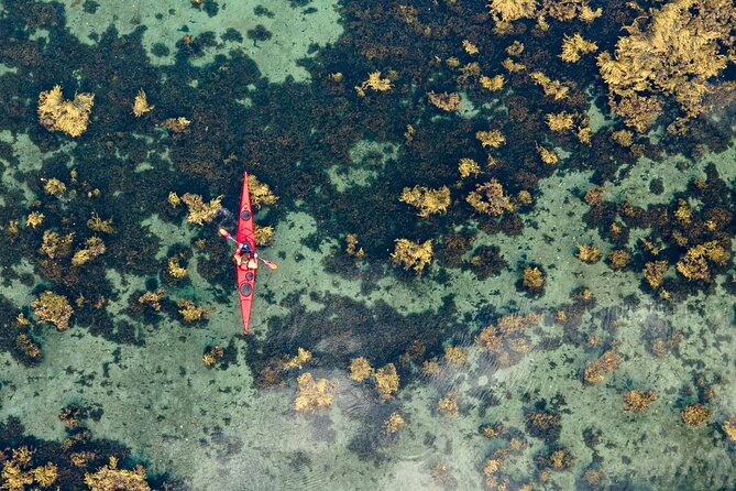 Small-Group Kayaking Experience in Lysefjord - Included Equipment